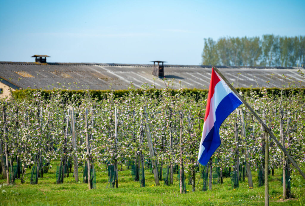 boomgaard-nederland-nederlandse-vlag